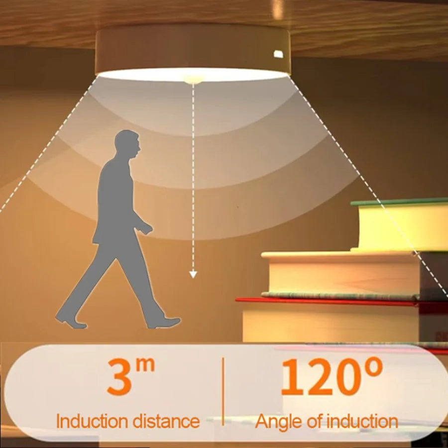 LumiSense Motion Light